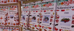 An einer Wand sind mehrere Samentüten für verschiedene Pflanzen zu sehen, darunter Kirschtomaten und Chilis, mit eindeutigen Produktcodes und Bildern auf jedem Beutel.