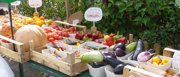 Ein grüner Tisch zeigt verschiedene Gemüsesorten in Kisten, darunter Paprika, Tomaten, Auberginen und mehr. Es gibt Schilder, die auf Bio-Produkte hinweisen.