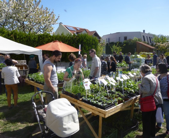 Ein Gartenmarkt mit verschiedenen Zelten und Tischen, auf denen Pflanzen bei sonnigem Wetter ausgestellt sind. Die Leute stöbern und kaufen.