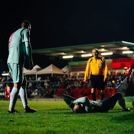 Bild enthält, Adult, Male, Man, Person, Grass, Plant, Sliding, Clothing, Shorts, Conversation