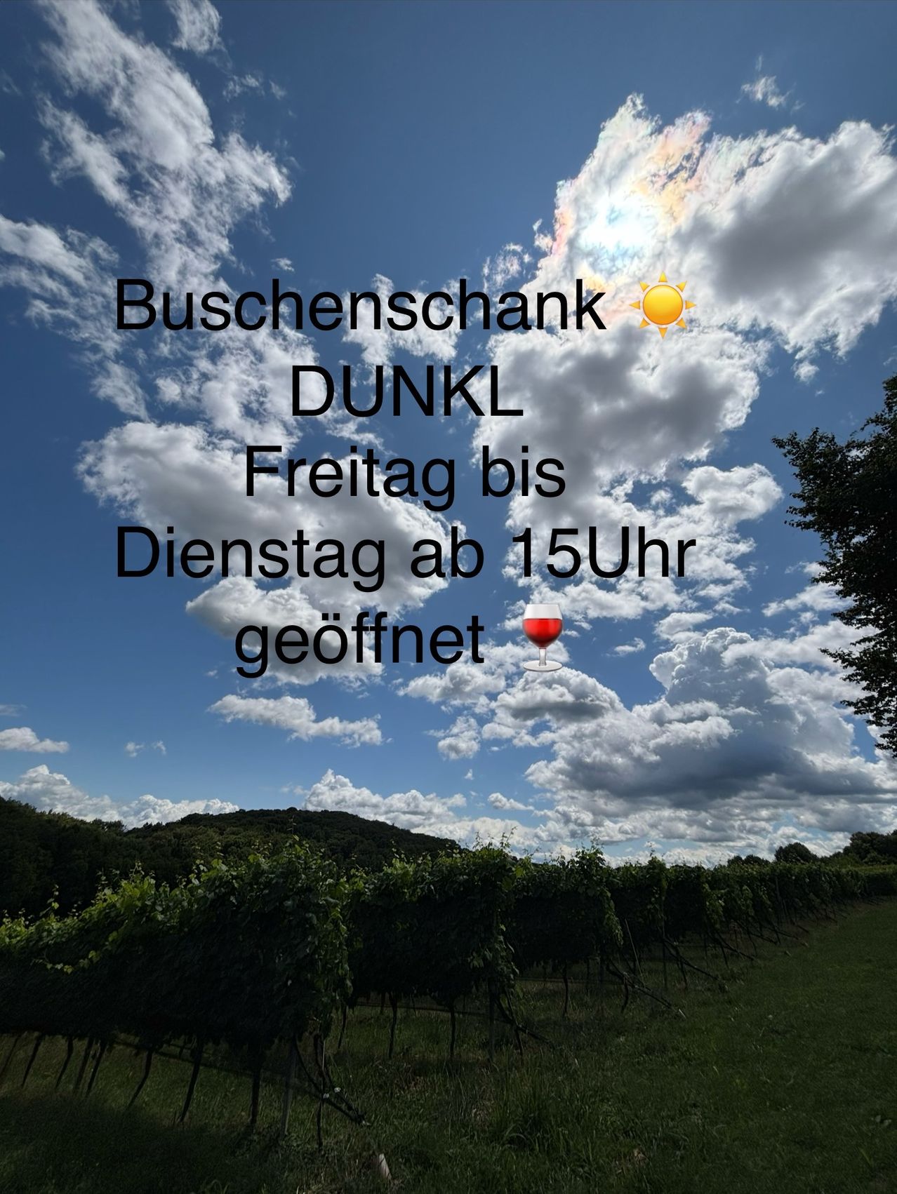 Ein Weinberg unter einem teilweise bewölkten Himmel. Das Schild sagt 'Buschenschank DUNKL, Geöffnet Freitag bis Dienstag ab 15 Uhr' mit einem Weinglas-Symbol.