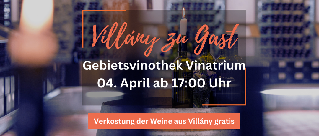 Bild enthält, Alcohol, Beverage, Liquor, Bottle, Wine, Wine Bottle, Person