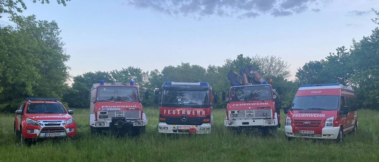 v1_migrated_image_43882228