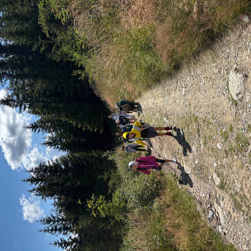 Eine Gruppe von Wanderern geht auf einem felsigen Pfad, umgeben von hohen Bäumen und Gras, unter einem blauen Himmel mit Wolken.