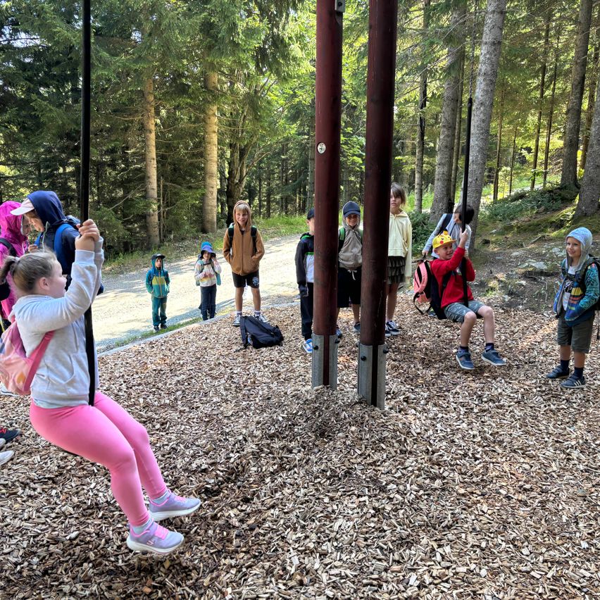 Eine Gruppe von Kindern spielt auf einer Schaukel in einem Wald, einige sitzen auf Schaukeln und andere stehen herum.