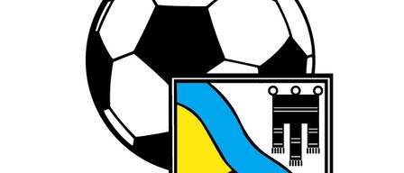 The logo for FC Schins 1917, featuring a soccer ball and a shield with a castle and musical horn.