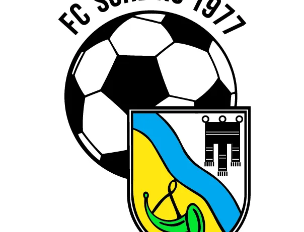 Das Logo des FC Schlinings 1917 zeigt einen Fußball und einen Wappenschild mit einer Brücke und Türmen auf weißem Hintergrund.