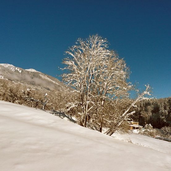 Schneebedeckte Bäume heben sich gegen einen blauen Himmel mit fernen Bergen im Hintergrund ab. Ein gelbes Gebäude ist im Tal sichtbar.