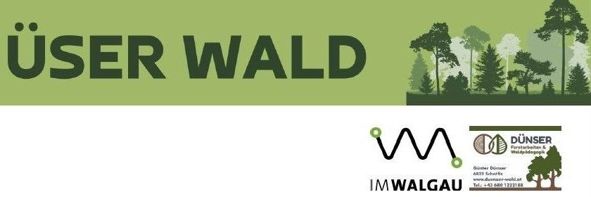 Banner für 'ISER WALD' mit grünlichem Hintergrund, das ein Logo und Kontaktdaten für Dünser Waldbewirtschaftung GmbH zeigt.