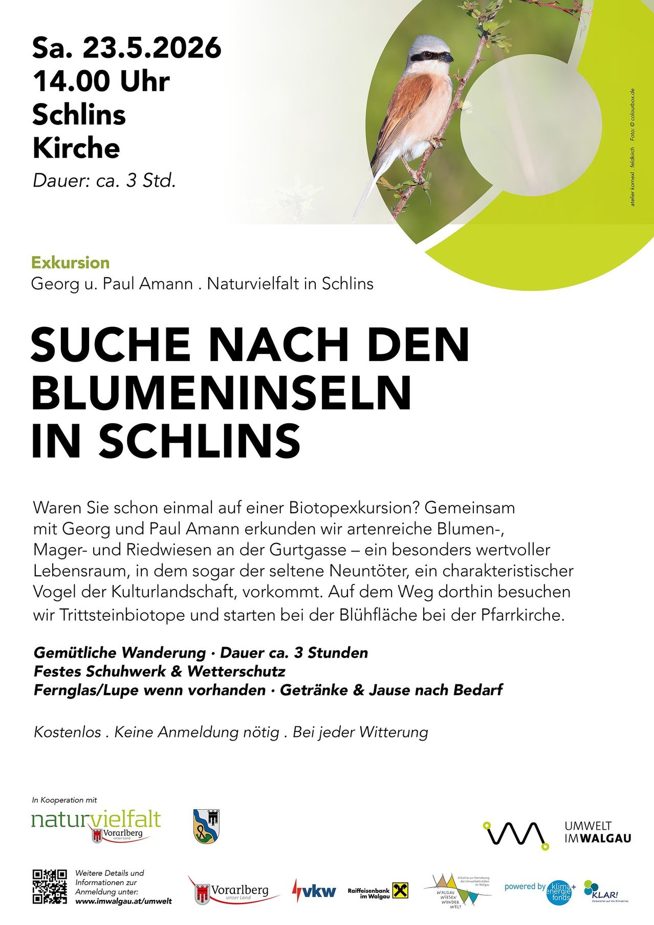 A poster for an excursion in Schins, Switzerland. It features a bird on a branch, and the title is in bold. The text reads 'Seek the butterflies in Schins' and includes details about the activity.