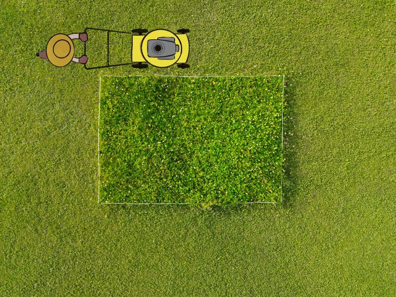 Eine Vogelperspektive zeigt eine Person, die einen gelben Rasenmäher benutzt, um ein quadratisches Stück Gras auf einem grünen Rasen zu mähen.