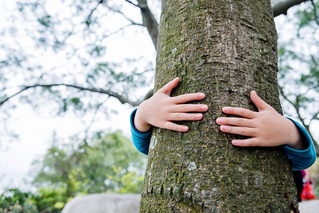 Nahaufnahme der Hände eines Kindes, die einen Baumstamm umarmen, mit verschwommenen Bäumen und Grünpflanzen im Hintergrund.