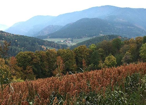 Eine weite, farbenfrohe Landschaft mit hohen Gräsern und Bäumen. Berge im Hintergrund und ein Tal mit einem kleinen Dorf.