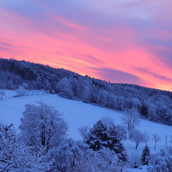 Eine verschneite Landschaft mit schneebedeckten Bäumen und einem Sonnenuntergang am Himmel mit rosa Tönen.