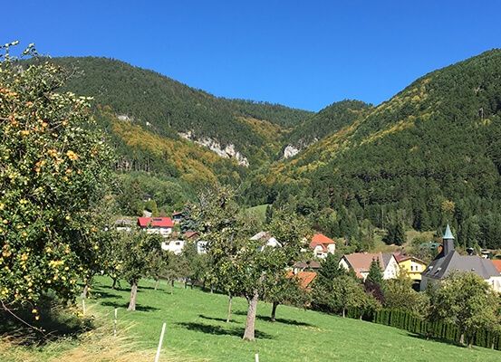 Ein malerischer Blick auf ein Dorf zwischen Bergen, mit Häusern, Bäumen und einem klaren blauen Himmel.