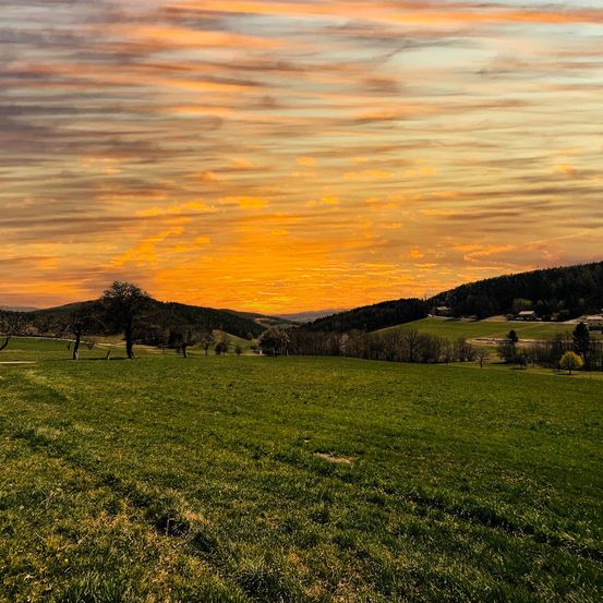 Eine friedliche Landschaft mit einem weitläufigen grünen Feld unter einem leuchtenden Sonnenuntergangshimmel, Bergen im Hintergrund und spärlichen Bäumen.