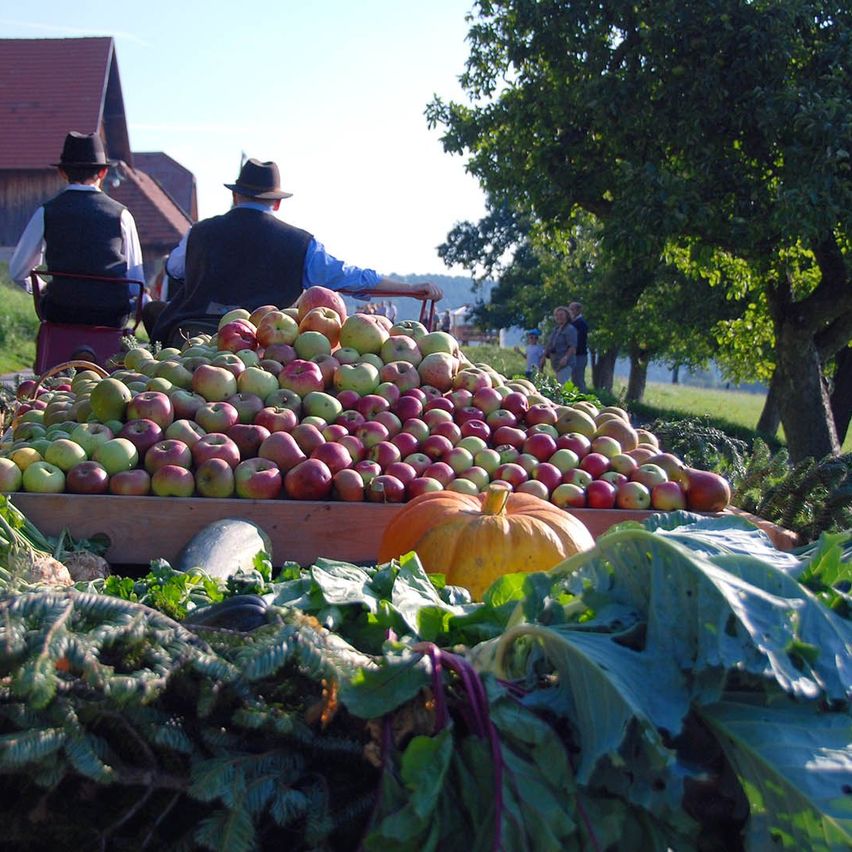 Zwei Männer sitzen in einem mit Äpfeln gefüllten Wagen, umgeben von Bäumen und Gemüse. Im Hintergrund sind Menschen und ein Haus zu sehen.