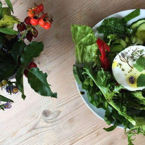 Ein Teller mit Salat aus Salat, Gurke, roter Paprika und einer Mozzarella-Kugel mit Kräutern und einer Minzblatt.
