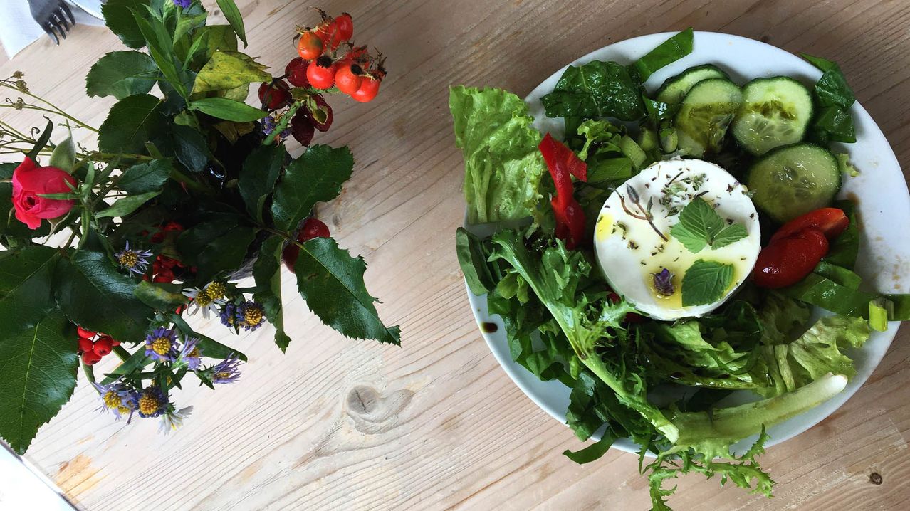 Ein Teller mit Salat aus Salat, Gurke, roter Paprika und einer Mozzarella-Kugel mit Kräutern und einer Minzblatt.