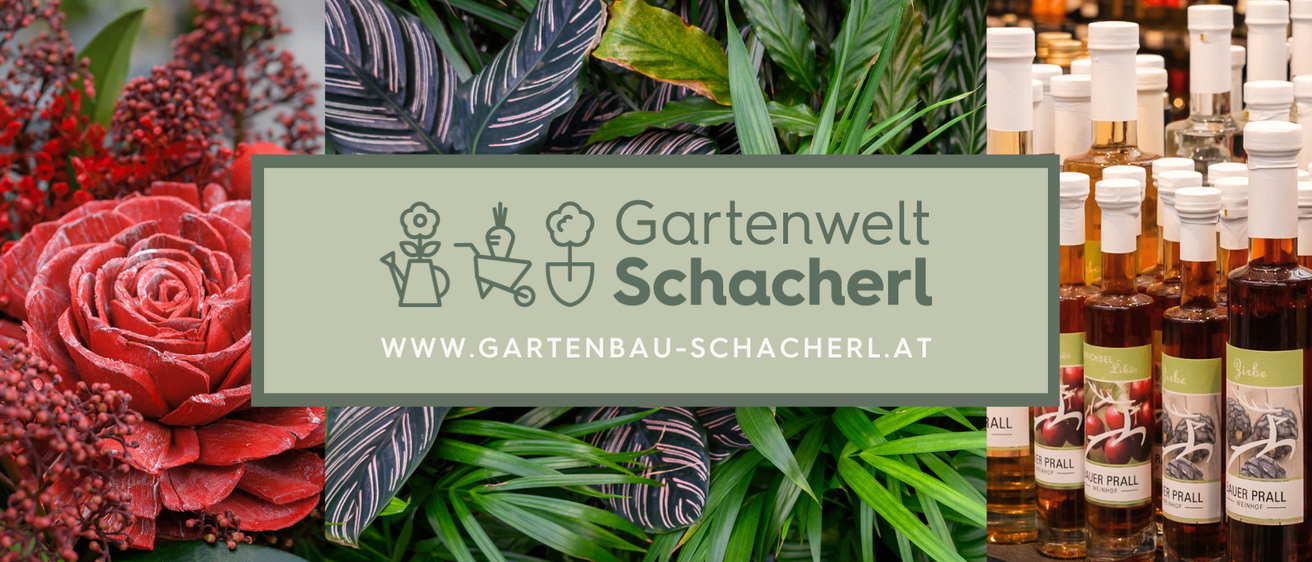 Ein Bild mit verschiedenen grünen Pflanzen und einem Logo sowie einer Website-Adresse oben.