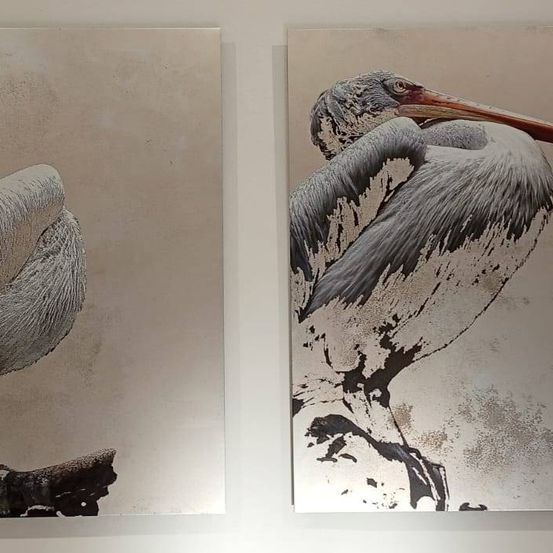 Zwei gerahmte Gemälde eines Pelikans. Eines zeigt den Vogel auf einem Ast sitzend. Das andere zeigt den Vogel im Flug mit ausgebreiteten Flügeln.