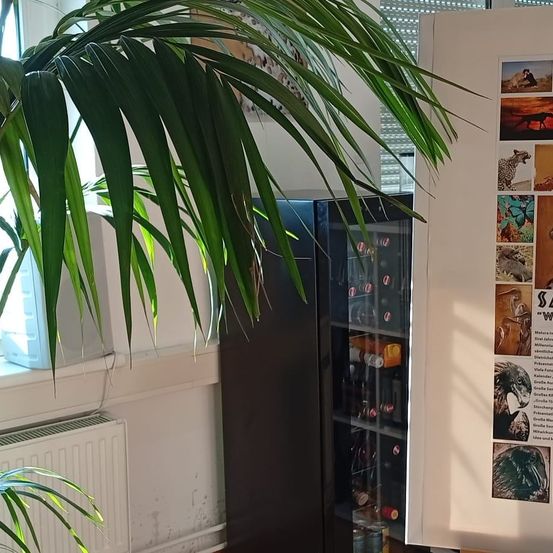 Ein Zimmer mit Fenster, weißem Heizkörper und großer grüner Pflanze. Ein schwarzer Mini-Kühlschrank voller Getränke. Ein Poster mit Tierbildern und Text.