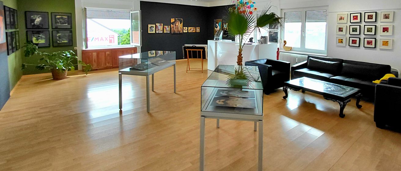 Ein Kunstgalerie mit modernem Innendesign. Ausstellungstische mit Glasvitrinen, ein schwarzes Ledersofa, ein Couchtisch und eine Topfpflanze. Kunstwerke sind an der schwarzen Wand ausgestellt.