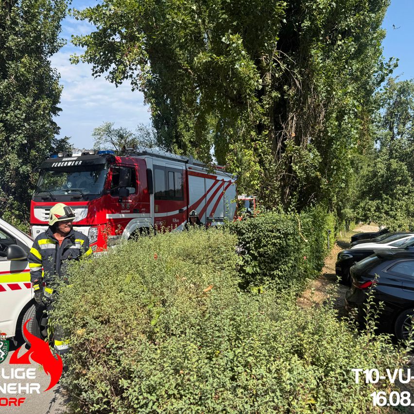Ein Feuerwehrmann steht neben einem Feuerwehrauto, das am Straßenrand geparkt ist, mit einem Busch und geparkten Autos im Hintergrund.