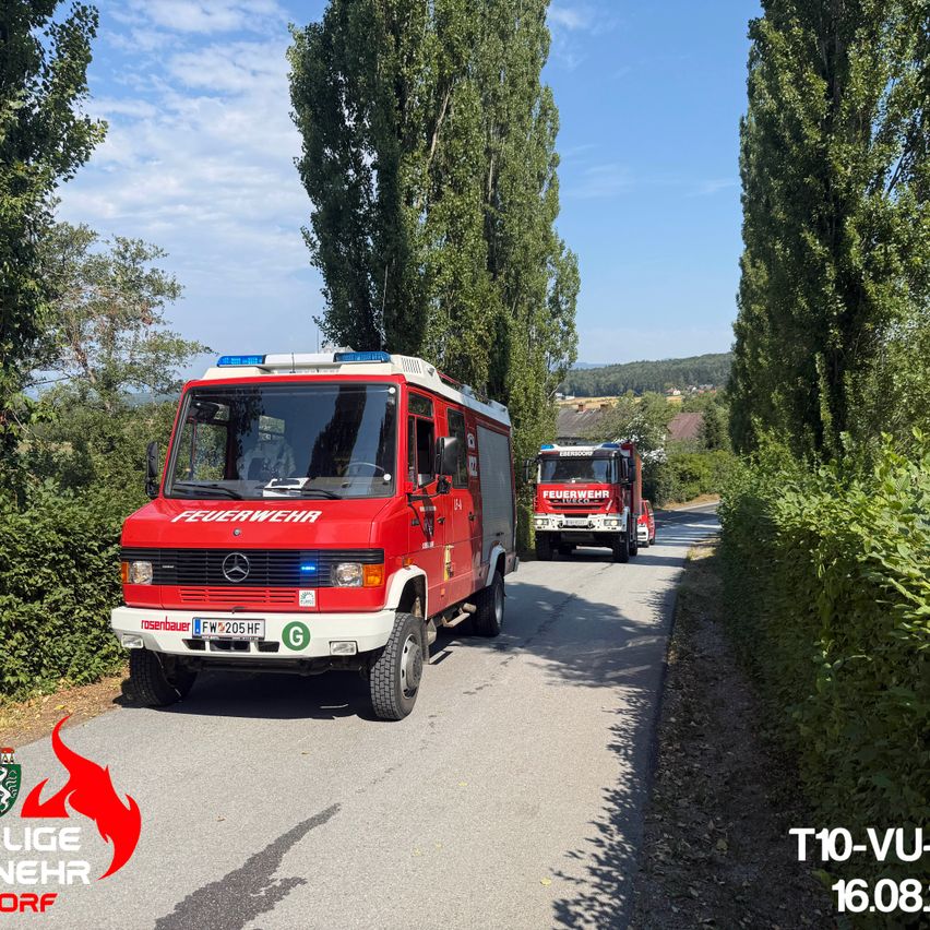 Ein roter Feuerwehrwagen mit der Aufschrift 'Feuerwehr' auf der Front fährt eine Straße hinunter, hinter ihm ein weiterer Feuerwehrwagen. Die Straße ist von Bäumen und Büschen umgeben.