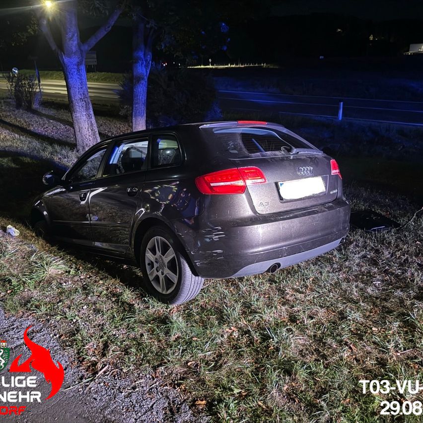 Ein dunkelfarbener Audi A3 ist am Straßenrand geparkt, nachdem er in einen Baum geprallt ist. Die Heckpartie des Autos ist beschädigt, und das Kennzeichen ist sichtbar. Die Szene spielt bei Nacht, mit einem unscharfen Hintergrund.