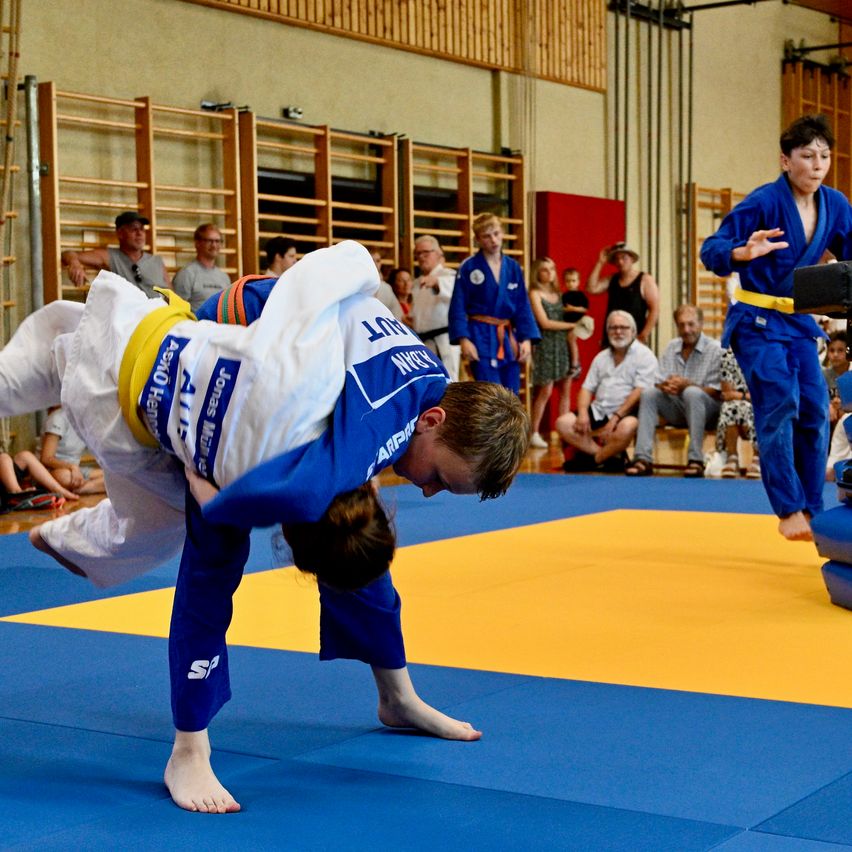 Zwei Kampfkünstler führen einen Ringkampf aus, einer in blau und der andere in weißen Uniformen. Zuschauer beobachten vom Rand.