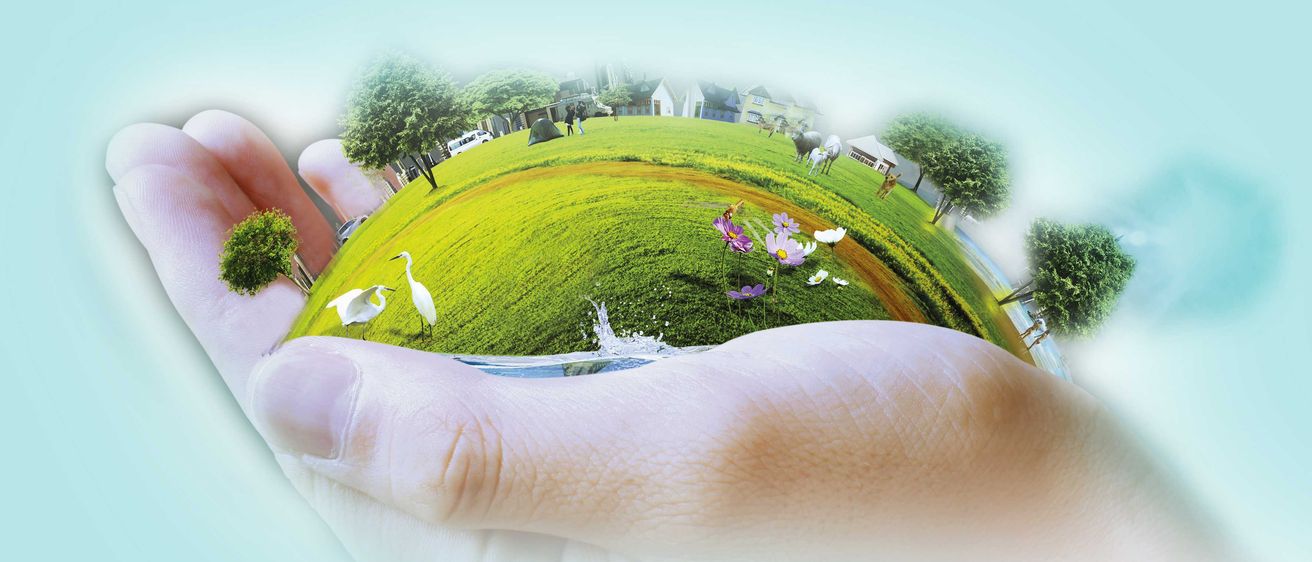 Photography, Grass, Green, Landscape, Outdoors, Finger, Person, Grassland, Bird, Vegetation