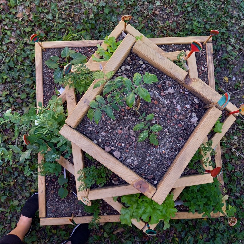 Ein hölzerner sechseckiger Pflanzkasten mit verschiedenen grünen Pflanzen, darunter Tomaten und Kräuter, auf einem Grasboden platziert.