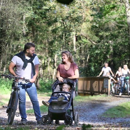 Eine Familie mit einem Baby im Kinderwagen geht auf einem Waldweg, ein Mann hält ein Fahrrad. Dahinter fahren zwei Personen mit Fahrrädern, andere sind in der Ferne.