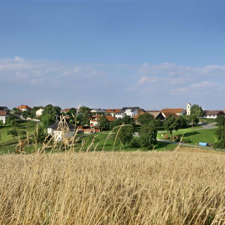 Eine ländliche Landschaft mit einem Weizenfeld im Vordergrund, Häuser im Hintergrund und einem klaren blauen Himmel.