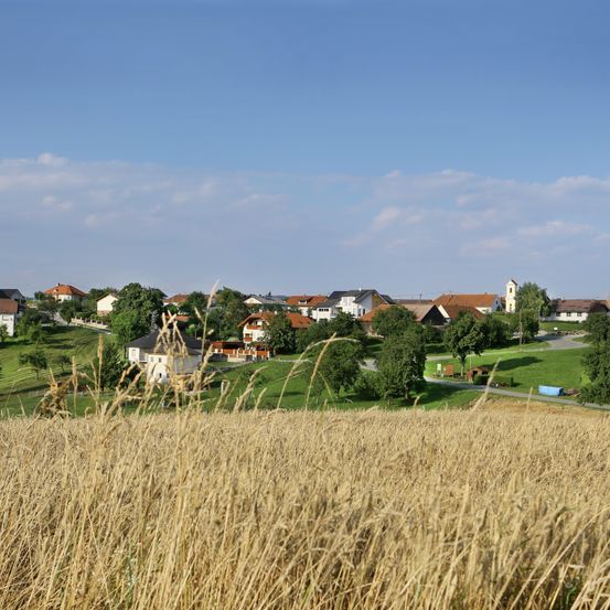 Eine ländliche Landschaft mit einem Weizenfeld im Vordergrund, Häuser im Hintergrund und einem klaren blauen Himmel.