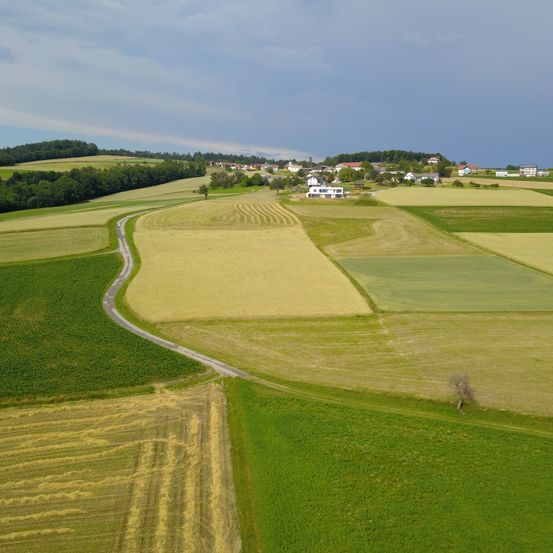 Luftaufnahme einer ländlichen Landschaft mit Feldern und einem Dorf. Die Felder sind in Abschnitte unterteilt, wobei einige bepflanzt und andere geerntet sind. Das Dorf liegt in der Ferne, umgeben von Bäumen.