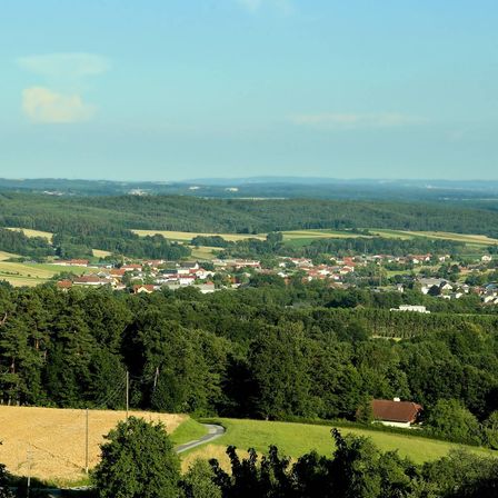 Luftaufnahme einer ländlichen Landschaft mit einem kleinen Dorf, umgeben von üppigen grünen Wäldern und Bauernhöfen unter einem klaren blauen Himmel.