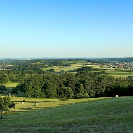 Eine friedliche ländliche Landschaft mit üppigen grünen Feldern, Bäumen und Heuballen. Am Horizont zeigt sich eine kleine Stadt mit Gebäuden unter einem klaren blauen Himmel.