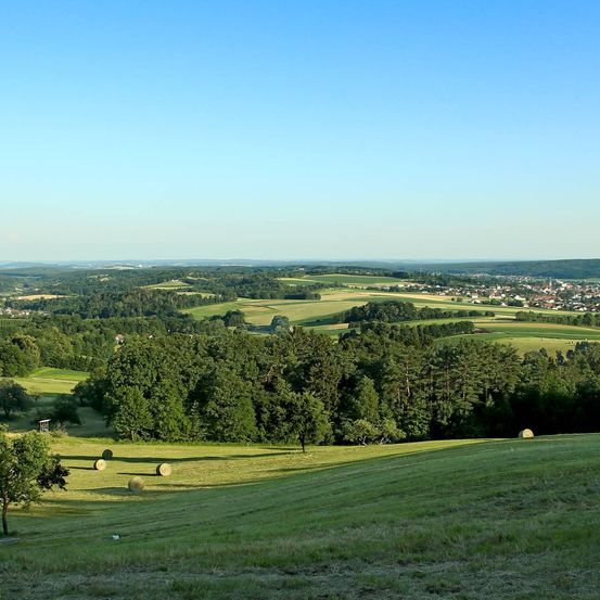 Eine friedliche ländliche Landschaft mit üppigen grünen Feldern, Bäumen und Heuballen. Am Horizont zeigt sich eine kleine Stadt mit Gebäuden unter einem klaren blauen Himmel.