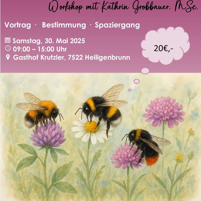 Ein Plakat für einen Workshop mit Kathrin Grobauer. Es zeigt drei Bienen auf Blumen mit Angaben zum Veranstaltungsdatum, Uhrzeit und Ort.