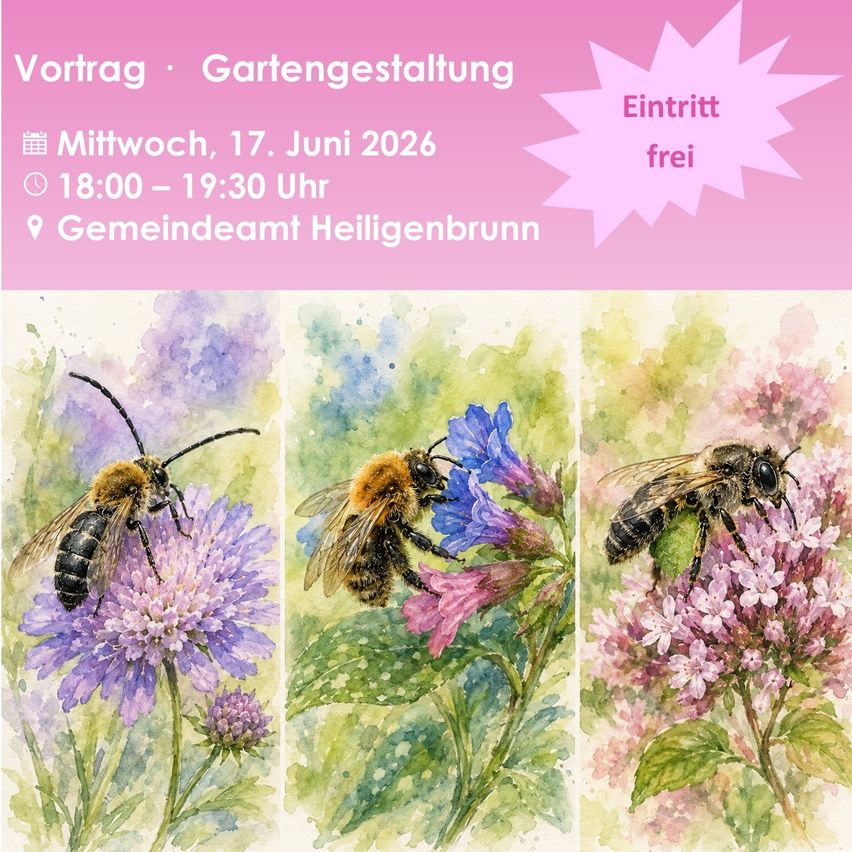 Drei Aquarellbilder von Bienen auf Blumen. Die Veranstaltung ist am 17. Juni 2026 von 18:00 bis 19:30 im Gemeindeamt Heiligenbrunn. Eintritt frei.