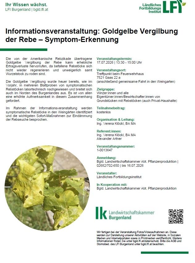 Ein Flyer für eine Veranstaltung über die goldene Vergilbung der Rebstöcke, mit einem Nahaufnahme eines Traubenblattes mit Vergilbung und Flecken. Der Flyer enthält Details über Datum, Zeit und Ort der Veranstaltung.