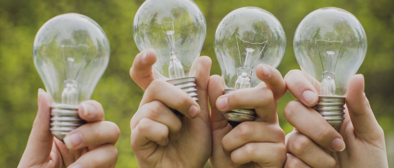 Vier Hände halten vier Glühbirnen im Freien mit Bäumen im Hintergrund.