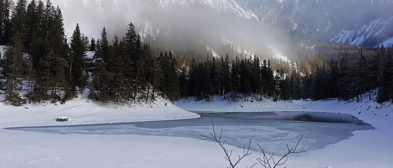 Eine verschneite Landschaft mit Kiefern und einem gefrorenen See, umgeben von schneebedeckten Bergen.
