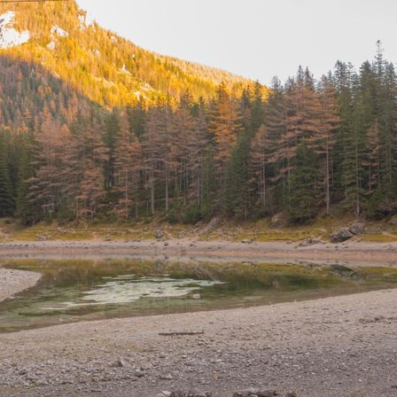 Bild enthält, Plant, Tree, Fir, Gravel, Road, Conifer, Nature, Outdoors, Wilderness, Water
