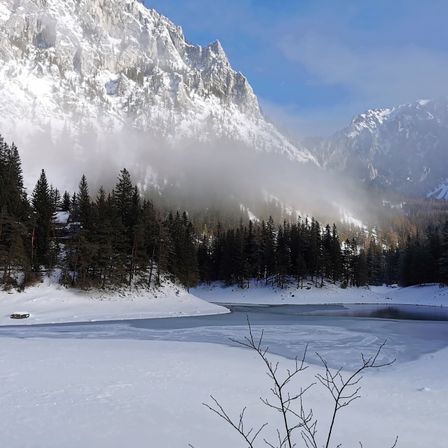 Bild enthält, Tree, Fir, Nature, Outdoors, Scenery, Ice, Mountain, Mountain Range, Conifer, Peak