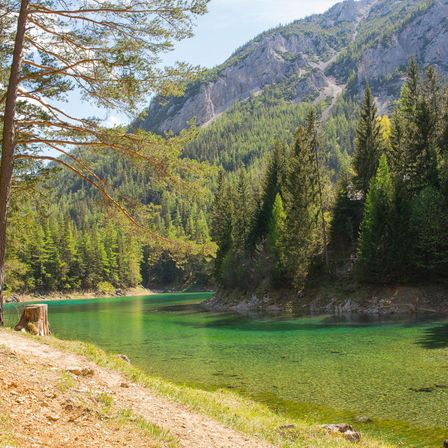 Bild enthält, Tree, Fir, Nature, Outdoors, Wilderness, Scenery, Conifer, Vegetation, Water, Pine