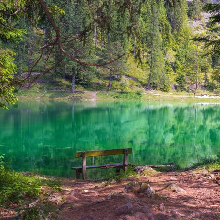 Bild enthält, Nature, Outdoors, Scenery, Bench, Vegetation, Tree, Lake, Water, Pond, Jungle