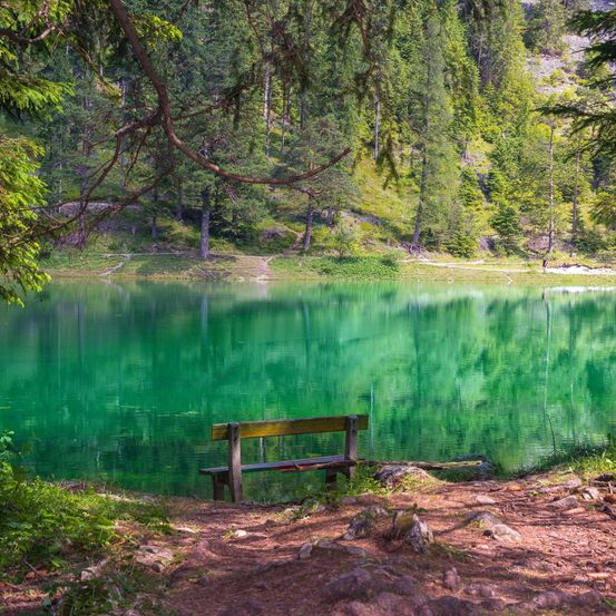 Bild enthält, Nature, Outdoors, Scenery, Bench, Vegetation, Tree, Lake, Water, Pond, Jungle